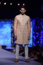 Model at Shaina NC-Manish Malhotra Pidilite Show for CPAA on 1st March 2015 (609)_54f45ee877fc6.JPG