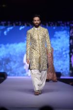 Model at Shaina NC-Manish Malhotra Pidilite Show for CPAA on 1st March 2015 (616)_54f45ef41d18c.JPG