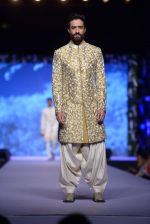 Model at Shaina NC-Manish Malhotra Pidilite Show for CPAA on 1st March 2015 (618)_54f45ef70a2e7.JPG