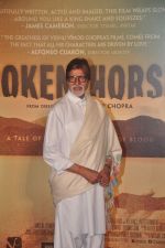 Amitabh Bachchan at the trailer launch of Vidhu Vinod Chopra_s maiden Hollywood film Broken Horses in PVR Cinemas on 10th March 2015(73)_55000844a7fd0.JPG