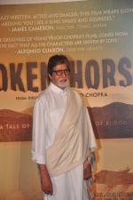 Amitabh Bachchan at the trailer launch of Vidhu Vinod Chopra_s maiden Hollywood film Broken Horses in PVR Cinemas on 10th March 2015(75)_55000848b3179.JPG
