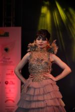 at Smile Foundation show with True Fitt & Hill styling in Rennaisance on 15th March 2015 (240)_5506ab4c9a6e3.jpg
