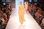Model walks the ramp for Verb by Pallavi Singhee at Lakme Fashion Week 2015 Day 1 on 18th March 2015 (17)_550aacd78c82a.JPG