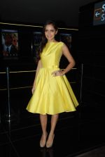 Shazahn Padamsee at Solid Patels trailer launch in Fun on 18th March 2015 (75)_550aabbe60038.JPG