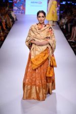 Model walks the ramp for Gaurang Show at Lakme Fashion Week 2015 Day 2 on 19th March 2015 (116)_550c05283d1c7.JPG