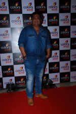 at Colors Marathi launch in J W Marriott, Mumbai on 20th March 2015 (76)_550d58f51abce.JPG