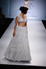 Model walk the ramp for Payal Singhal on day 1 of Amazon India Fashion Week on 25th March 2015 (13)_5513d4415a959.JPG
