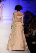 Model walk the ramp for Payal Singhal on day 1 of Amazon India Fashion Week on 25th March 2015 (147)_5513d526d5b15.JPG