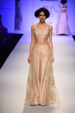 Model walk the ramp for Payal Singhal on day 1 of Amazon India Fashion Week on 25th March 2015 (154)_5513d53512ec8.JPG