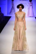 Model walk the ramp for Payal Singhal on day 1 of Amazon India Fashion Week on 25th March 2015 (155)_5513d53750a04.JPG