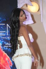 Poonam Pandey launches poster of her film Helen in Mumbai on 26th March 2015 (15)_551527b09776c.JPG