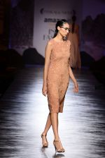Model walk the ramp for Pankaj Nidhi on day 3 of Amazon India Fashion Week on 27th March 2015  (85)_55167e2bdfb62.JPG