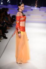 Model walk the ramp for Amazon India Fashion Week Grand Finale on 29th March 2015 (42)_5518f3661376a.JPG