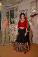Sunidhi Chauhan at Shane Falguni Peacock preview for Bridal Asia in Tote, Mumbai on 1st Paril 2015 (19)_551d023488bcd.JPG