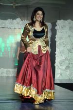 on ramp for Beti show in J W Marriott on 12th April 2015 (276)_552b96257fa79.JPG