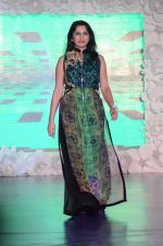 on ramp for Beti show in J W Marriott on 12th April 2015 (278)_552b9627867f0.JPG