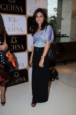 at the Launch of Karan Johar_s special edition Holiday Line by Gehna Jewellers in Mumbai on 13th April 2015 (1)_552ced304b963.JPG