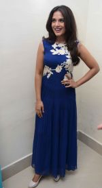 Richa Chadda during the Sabakuch India LLP for the launch of sabakuch.com in Delhi on 22nd April 2015 (20)_5537c9fe59e07.JPG