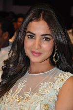 Sonal Chauhan at Pandaga Chesko Audio Launch on 1st may 2015 (12)_5544c4bc22b7c.jpg