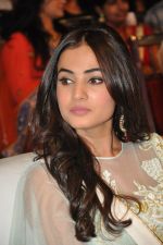 Sonal Chauhan at Pandaga Chesko Audio Launch on 1st may 2015 (27)_5544c4c5478f3.jpg