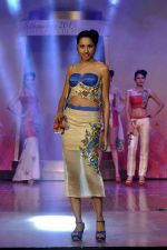 on the ramp for BD Somani show on 3rd May 2015 (106)_55486595d87e1.JPG