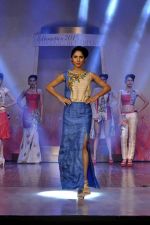 on the ramp for BD Somani show on 3rd May 2015 (107)_55486596b4bb4.JPG