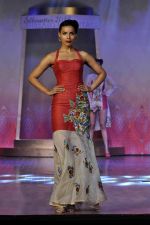 on the ramp for BD Somani show on 3rd May 2015 (121)_554865a3be027.JPG