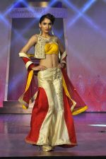 on the ramp for BD Somani show on 3rd May 2015 (152)_554865c6bc0d9.JPG