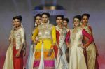 on the ramp for BD Somani show on 3rd May 2015 (181)_554865f5d6dd2.JPG