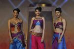 on the ramp for BD Somani show on 3rd May 2015 (202)_5548660f7796b.JPG