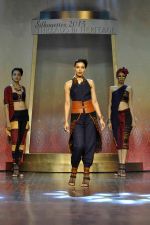 on the ramp for BD Somani show on 3rd May 2015 (223)_5548661de0c5c.JPG