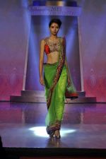 on the ramp for BD Somani show on 3rd May 2015 (249)_5548663f81afc.JPG
