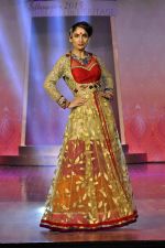 on the ramp for BD Somani show on 3rd May 2015 (250)_5548664100503.JPG