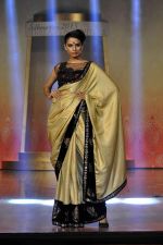 on the ramp for BD Somani show on 3rd May 2015 (253)_55486644400a6.JPG