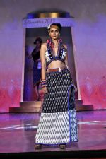 on the ramp for BD Somani show on 3rd May 2015 (53)_554865524c271.JPG