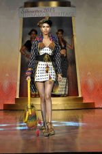 on the ramp for BD Somani show on 3rd May 2015 (54)_554865539d9d1.JPG