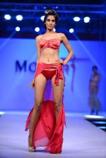 Model walk the ramp for Modart fashion show and Lingerie show on 5th may 2015 (12)_5549fbf65b8f6.JPG
