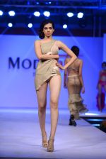 Model walk the ramp for Modart fashion show and Lingerie show on 5th may 2015 (32)_5549fc105e71b.JPG