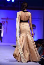 Model walk the ramp for Modart fashion show and Lingerie show on 5th may 2015 (353)_5549fae00a0a6.JPG