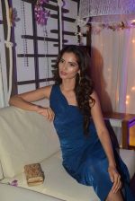 at Grey Goose Cabana Couture launch in Asilo on 8th May 2015 (91)_554e024d1fd60.JPG