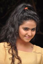 Avika Gor Photoshoot on 11th May 2015(98)_55519aa130f50.jpg