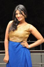 Sowmya  (26)_555ed082955ad.jpg