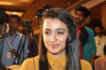 Trisha (1)_5562ef7e7ce24.jpg