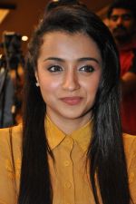 Trisha (10)_5562ef899e2ba.jpg