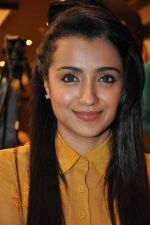 Trisha (13)_5562ef8ce9bcf.jpg