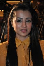 Trisha (16)_5562ef9072d0c.jpg