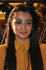 Trisha (17)_5562ef91de096.jpg