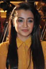 Trisha (18)_5562ef9317bd9.jpg