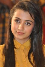 Trisha (2)_5562ef7f8dada.jpg