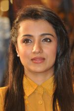 Trisha (22)_5562ef983d31f.jpg